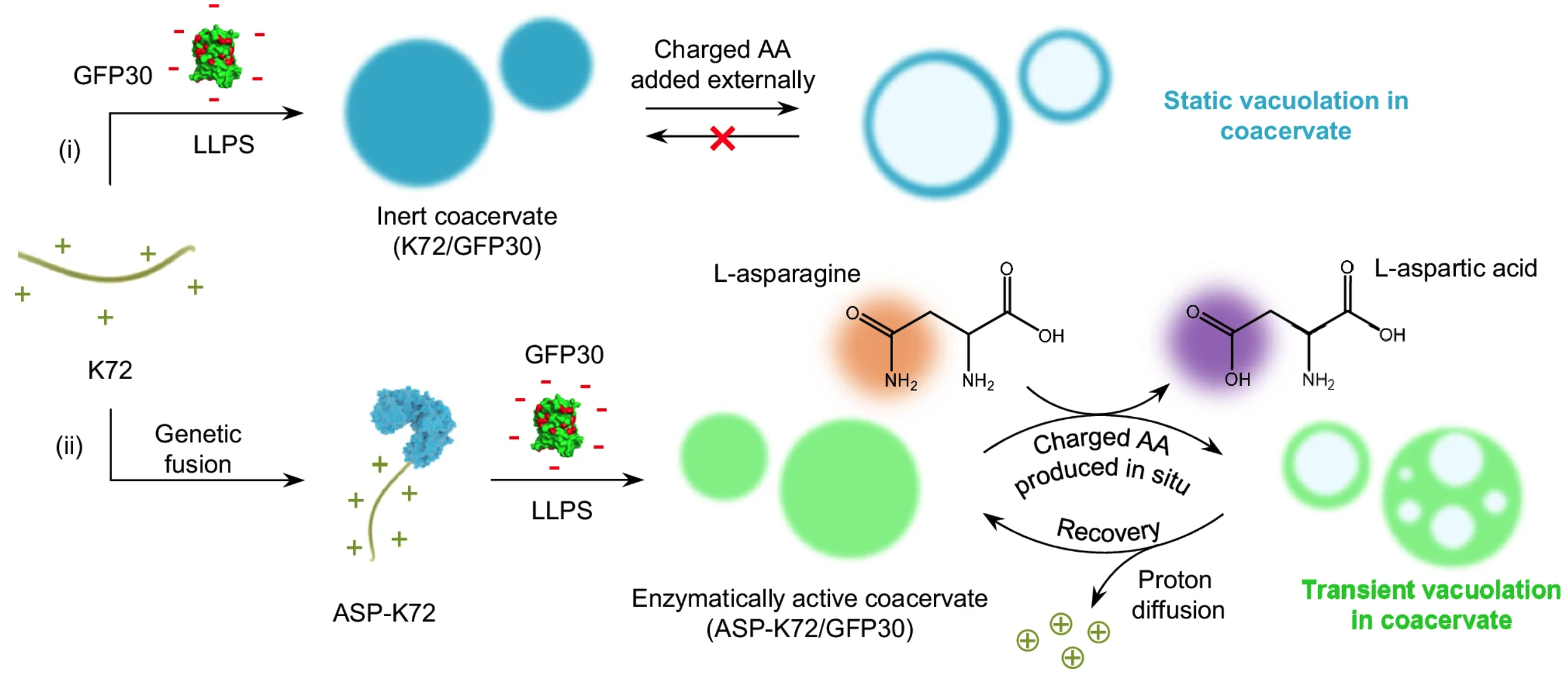 Screen Shot 2025-07-01 at 20.45.32.png